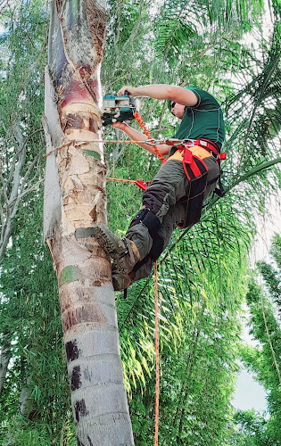 Green Geeks Tree Services in Hervey Bay