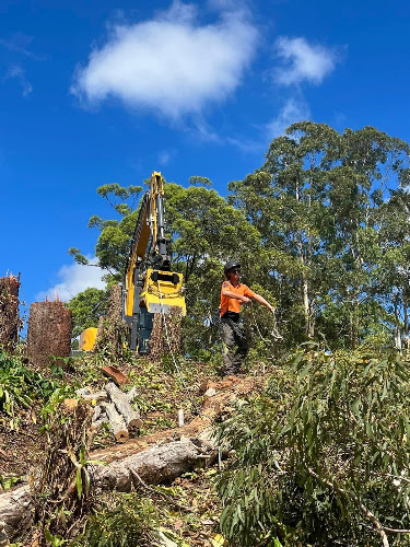 Gympie tree lopping in Gympie