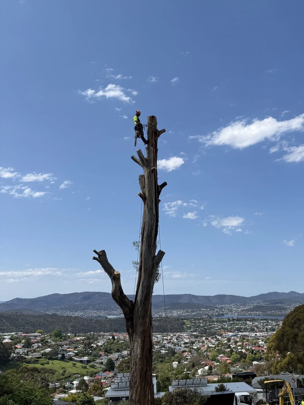 Habitat Arboriculture in Hobart