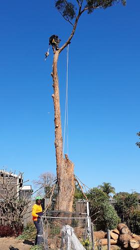 Hills Trees and Gardens in Blacktown