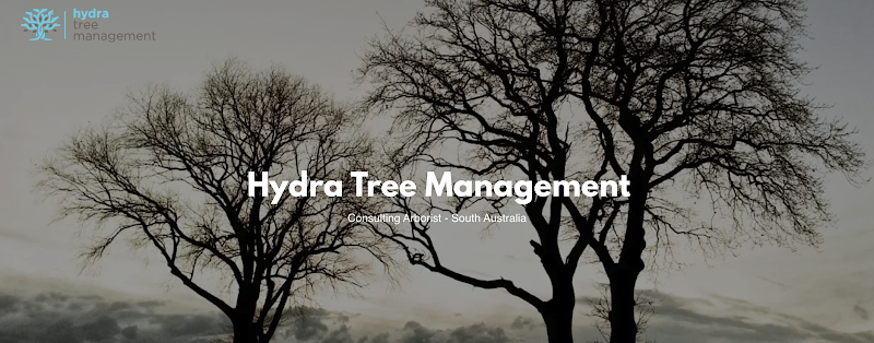 Hydra Tree Management in Adelaide