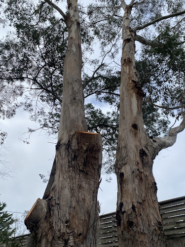 Infinity Tree Care in Frankston