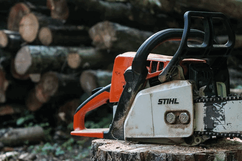 Ipswich Tree Services in North Lakes