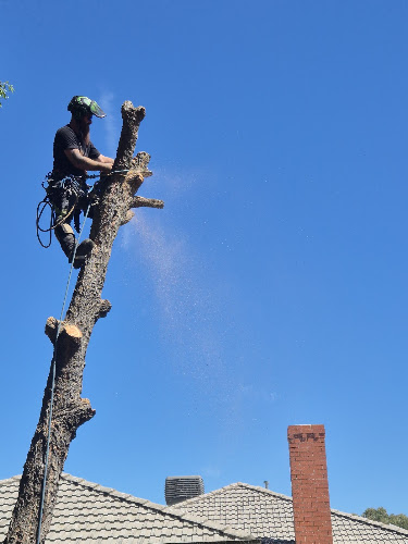 Ironbark Tree Maintenance PTY LTD in Adelaide