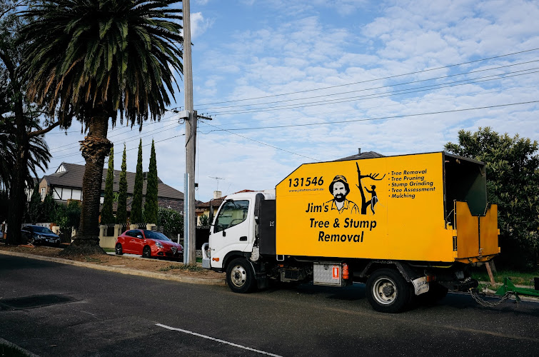 Jim's Trees in Adelaide