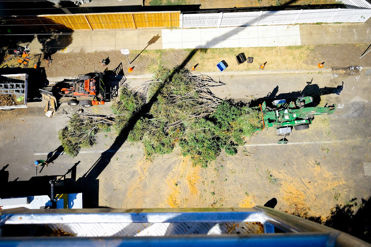 Jim's Trees & Stump Removal in Berwick
