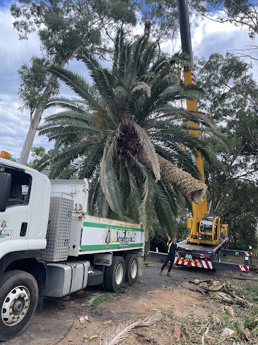 King Kong Tree Services in Erina