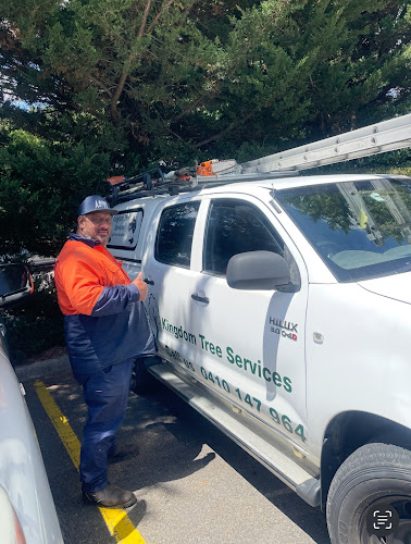 Kingdom Tree Services in O'Connor