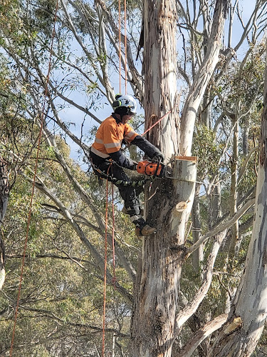 Kosciuszko Tree Services pty ltd in Turner