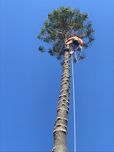 Luke's Tree Services in Gladstone