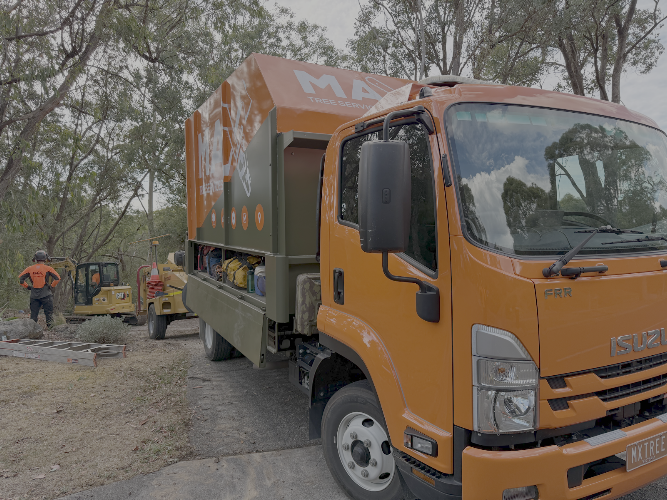 Max Tree Services in Bayswater North