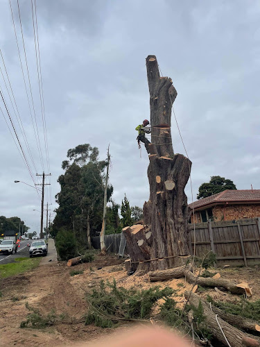 MC Tree services in Mill Park