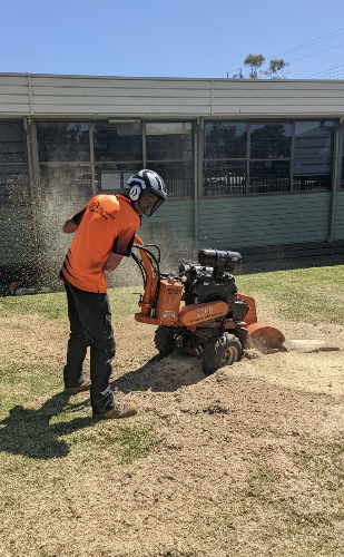 Melbourne Stump Grinding in Frankston North
