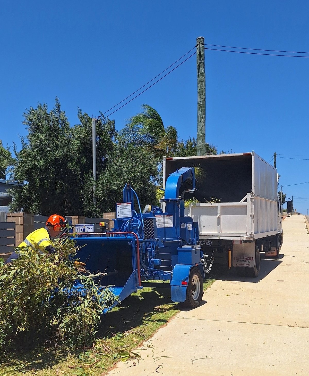 Midwest Tree Tamers in Geraldton
