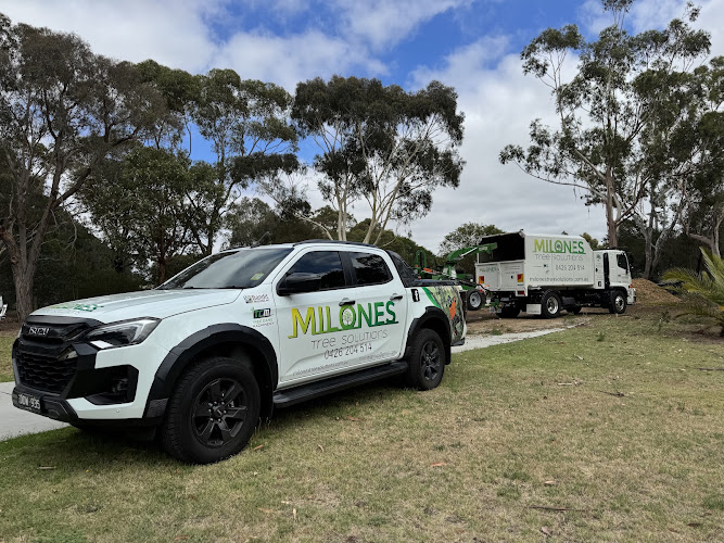 Milone's Tree Solutions in Werribee