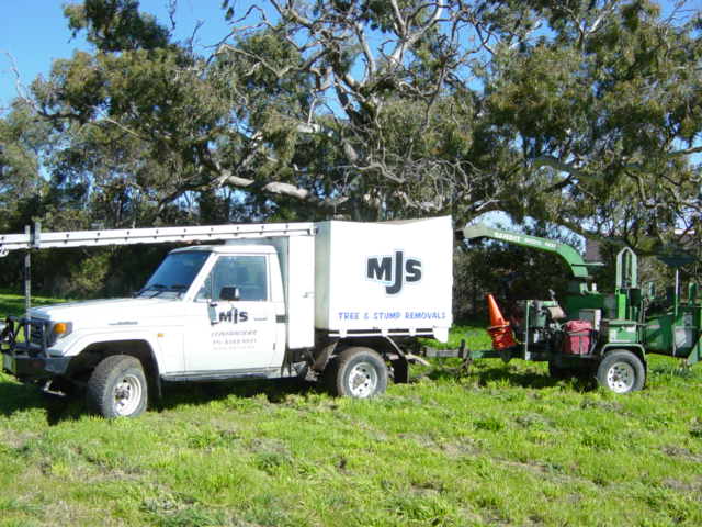 MJS Tree And Stump in Mount Barker