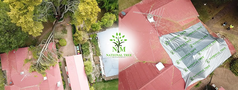 National Tree Management - Make Safe Services in Carlton in Carlton