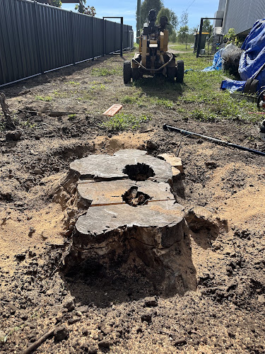 North West Stump Grinding in Tamworth
