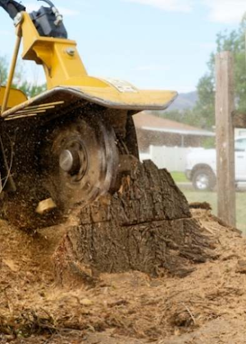 NW Stump Removal in Dandenong
