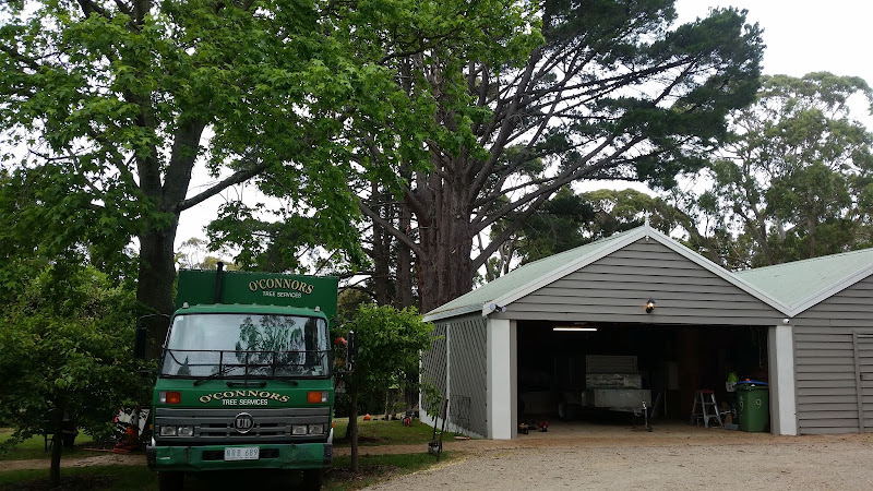 O'Connors Tree Services in Frankston