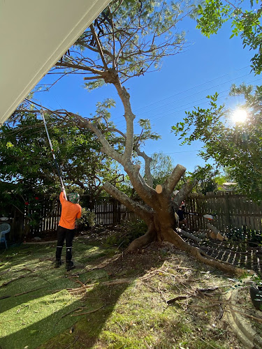 Orchard Improvement Services in Bundaberg