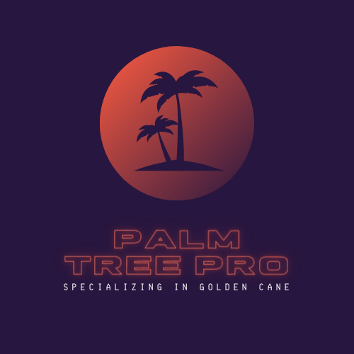 Palm Tree Pro Redlands in Brisbane