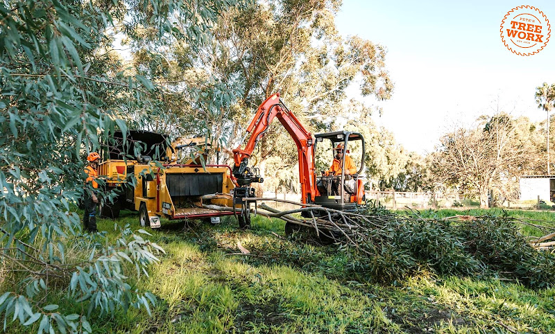 Pete's Treeworx in Mandurah