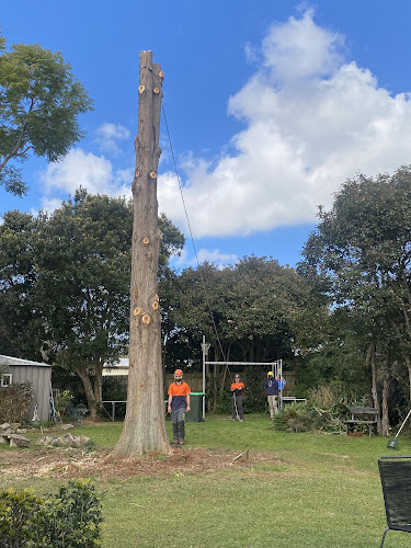 Playfair Tree Services in Mount Colah