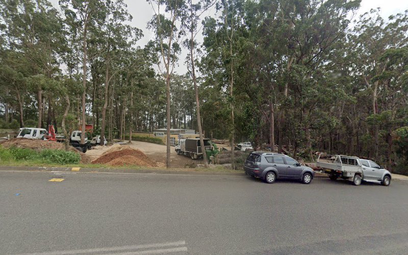 Port Tree Fella in Port Macquarie