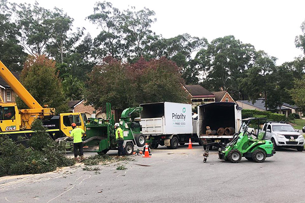 Priority Tree Services in Hornsby