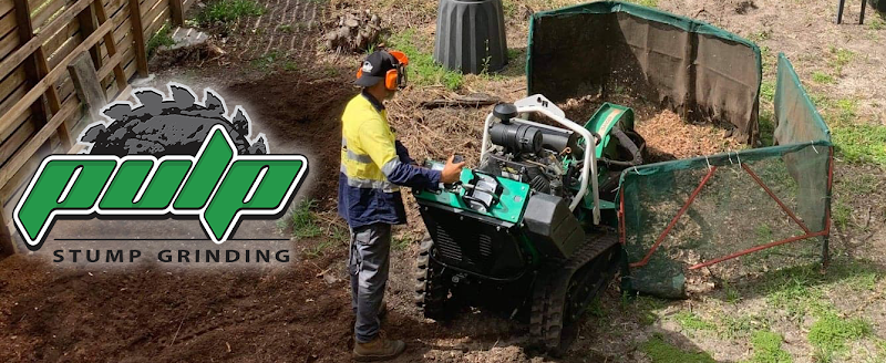Pulp Stump Grinding in Coolangatta