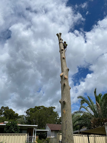 Quakers Hill Tree Services & Removals in Blacktown