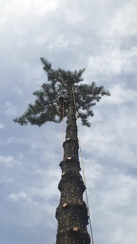 Raff's Trees and Gardens in Sutherland