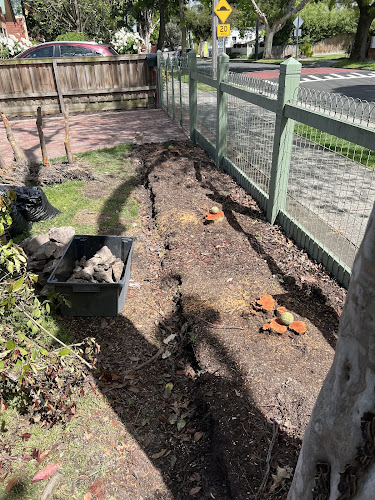 Rhyno Stump Grinding in Ringwood