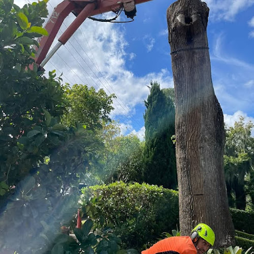 Royale Tree Services in Parramatta