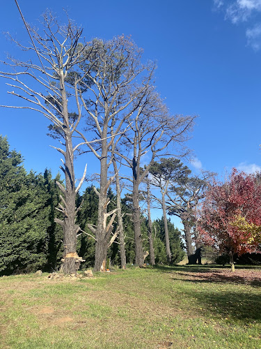 Rural Tree Care NSW in Orange