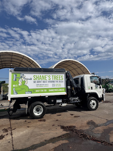 Shane's Trees in Kirrawee