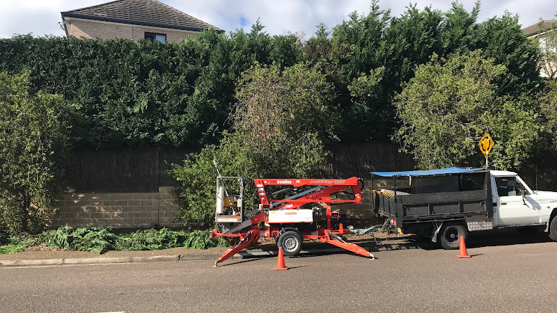 Shire Tree And Garden Services in Sutherland