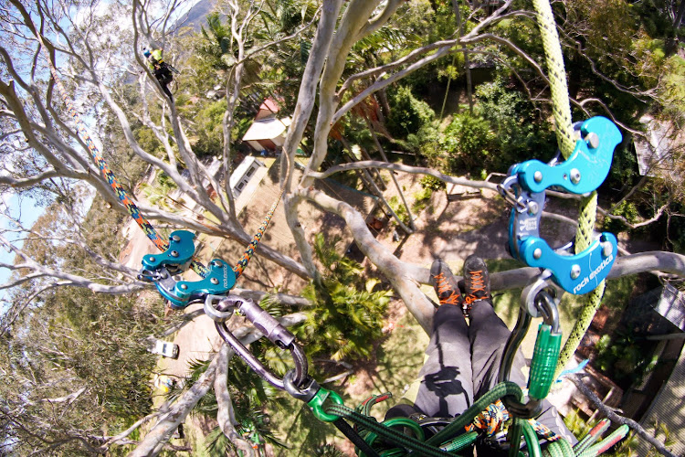 Sky's The Limit Tree Services in Port Macquarie