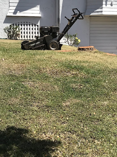 Smart Tree Lopping Brisbane in Brisbane