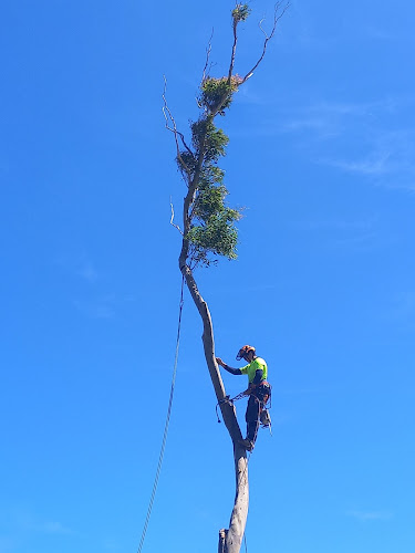 Southern Arborists in Victor Harbor