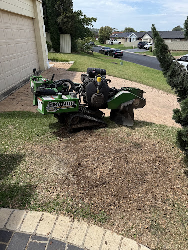 SSNSS Tree Services in Parramatta