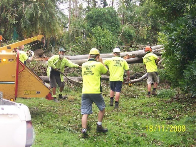 Strudwick's Tree Lopping in Tanah Merah