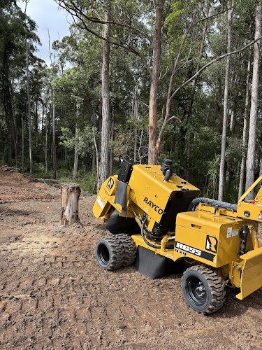 Stump Co. in Coffs Harbour