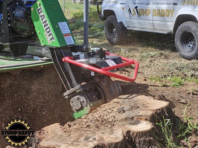 Stump Daddy in Mount Barker