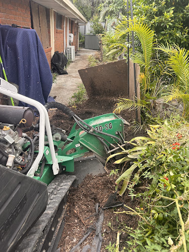 Stump Grinding Gold Coast in Ashmore