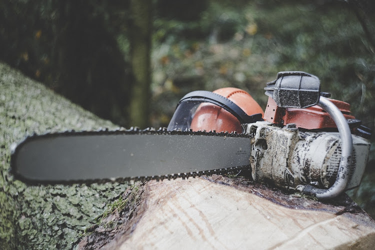 Surecut Tree Service in Logan