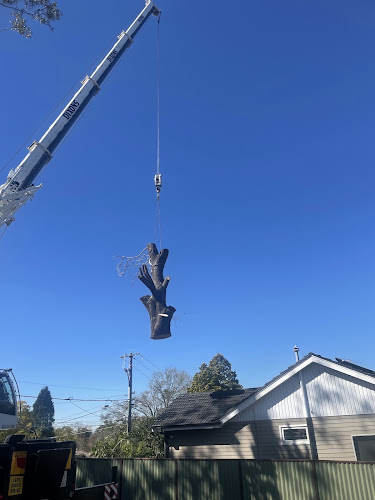 Sydney City Mulch & Tree Service in Glebe