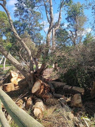 Tb yard and maintenance and tree removal in Mount Gambier