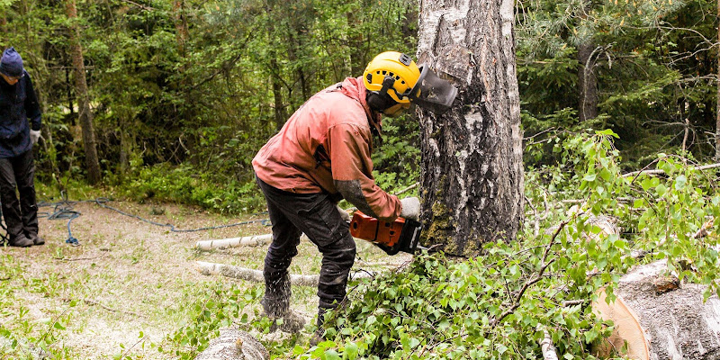 Terrific Trees Victoria - Tree & Stump Removal Werribee, Tree Services in Werribee